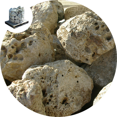 Ocean Rock